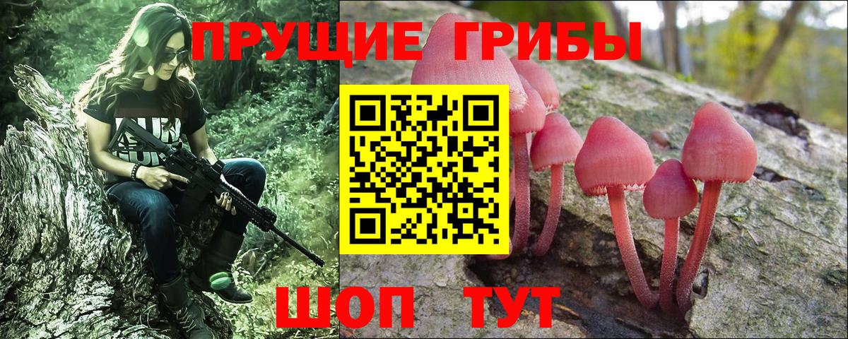 Псилоцибиновые грибы мицелий Видное